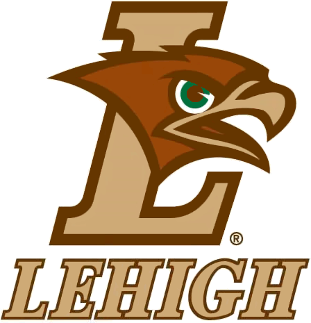 Lehigh Mountain Hawks 2004-Pres Alternate Logo 02 iron on paper